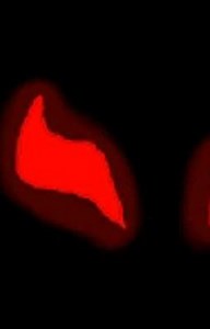 azur lane x betrayal male reader - the punishment