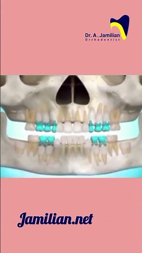From Baby Teeth to Adult Smile: Tooth Eruption Sequence #dentist #babytooth #dentition #tooth