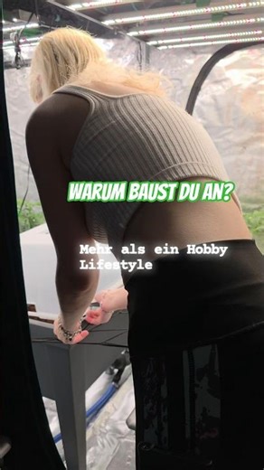 effizient oder übertrieben? wir werden es rausfinden ‪@MarsHydro_official‬
