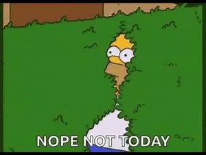 NOPE NOT TODAY ( MEME )