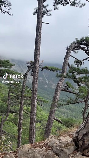 Exploring the Beauty of Crimea: A Travel Vlog