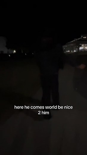 Meet the Charming Ocelot: Nature's Unique Wild Cat