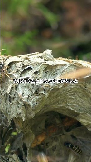 【衝撃】人間の骨は生きている。毎年10%が新しく生まれ変わる骨代謝の謎の真実とは？