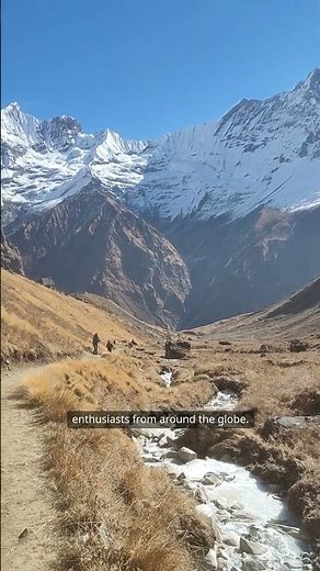 Mount Cook Majesty 🏔 | New Zealand’s Tallest Peak & Alpine Beauty