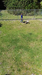 Animal Adoption Days: For an updated schedule of adoption days, pet adoption requirements and details, visit: www.stlucieco.gov/adopt | St. Lucie County