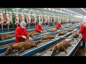 FULL PROCESS | Inside the Horse Leather Factory – From Raw Hide to High-End Fashion