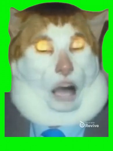 Monday Left Me Broken Cat Singing Green Screen Meme