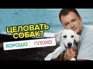 Год не выходить из дома или рассказать секрет? - Дилеммы #2 [RU/EN]
