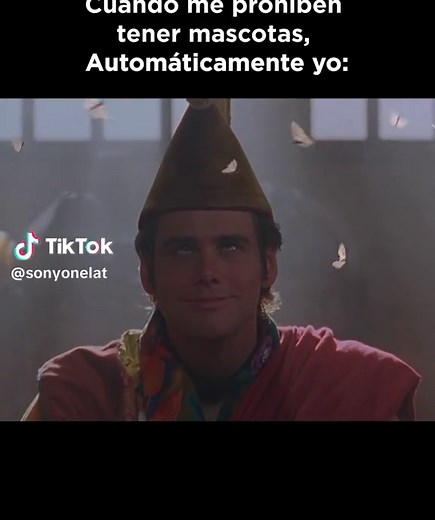 Ace Ventura: La Comedia que No Te Puedes Perder