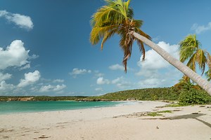 A Travel Guide to Visiting Vieques, Puerto Rico • My Feet Will Lead Me