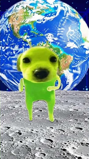 pabloo💀 the alien dog😆 #short