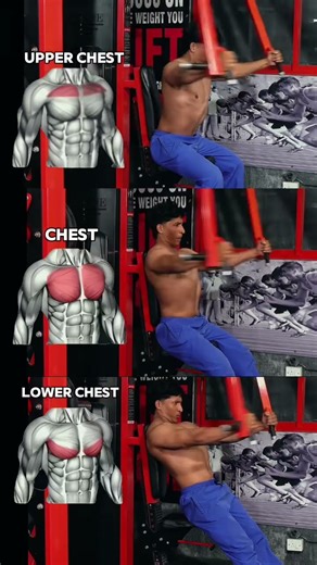 How to Target Upper, Middle, and Lower Chest (Gym Guide)