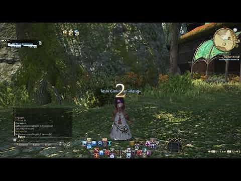 FFXIV Macros, Wait Commands