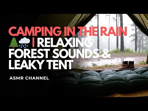 Rain Inside the Tent 🌧️🏕️ | Leaking Tent in the Forest ASMR