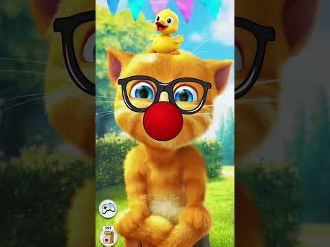 Talking Ginger FUNNY Videos 😂😂 | talking tom | talking ginger |