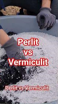 Perlite vs Vermiculite. What to choose for seedlings