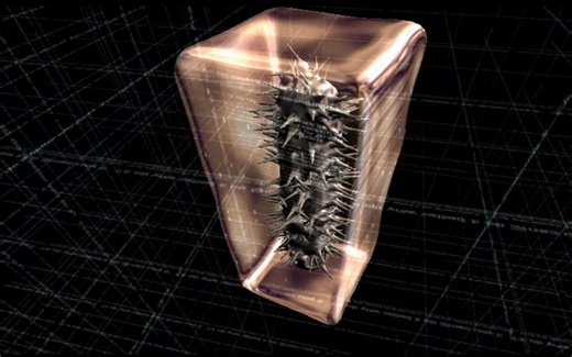 世界编程大赛前三名作品【每个exe只有64KB】（附下载链接）