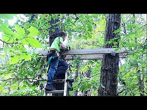 Building a Deer Hunting Stand