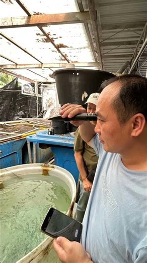 Check liquid levels fast 💧 handy tool for daily task 🔧 #refractometer #tool #tech #dailyuse #gadgets