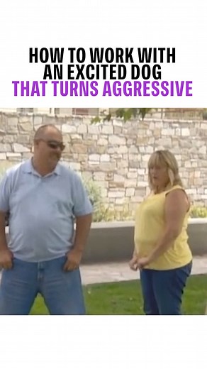 745K views · 14K reactions | In this clip, I meet Tasha, a Pitbull...