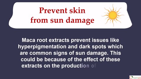 Health Benefits of Maca Root