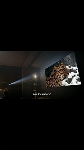 TV vs. Laser Projector?