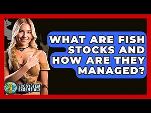 What Are Fish Stocks And How Are They Managed? - Ecosystem Essentials