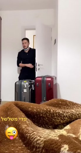 Understanding Hard-shell Suitcases: A Practical Review