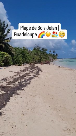 Plage de Bois Jolan | Guadeloupe 🏝😁🏖 👉 situé au sud de la Grande-Terre 🤩 #Guadeloupe #SainteAnne #Grandeterre #plage #boisjolan #voyage #antillesfrancaises #antilles #vacances #soleil #plage #sable #caraibes | Air Vacances.fr