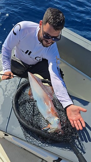 Ένα απ τα μεγαλύτερα καλαμάρια που έχω δει στο σκάφος μου!!! #slowjigging #fishing #fishingvideos #squid