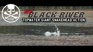 19K views · 416 reactions | <Series New Additions> Check out the amazing topwater actions as Singapore Pro Staffers Lewis & Max target some Giant Snakeheads in heavy cover on the upcoming Black River 7 Foot series! Available really soon (probably these two weeks)! #BONEFishingWorld #BONEBlackRiver #GiantSnakehead #HeavyCover #FrogGame #NewAdditions | BONE Fishing World | Facebook