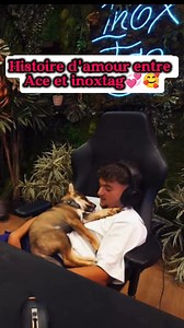 21K views · 667 reactions | Histoire d'amour entre Ace et inoxtag #inoxtag #inox #pourmoi #paspourtoi #Love #48h #couple #ilesthypnotiser #amoureux #matthieuafaim #lol #mdr #jsuiscuit #ilestenstress #ilavraimentcrugtunemeuf #crouton #jesuisbelle #humour #meuf #rouelibre #argent #stumblequys #fypシ゚ | Inoxtag | Facebook