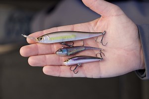 Berkley Releases New Line Of FFS-Optimized Fishing Lures Perfect For Bass, Walleye & More