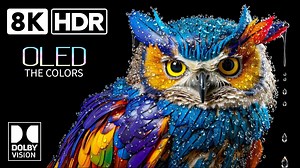 🌍 8K极致画质！杜比HDR震撼来袭 ✨ 🎶 超治愈8K自然大片，美到窒息 🌿 📺 电视测试必看！8K HDR视觉盛宴 🔥 🦋 杜比视界8K