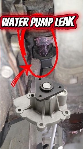 28 December 2025 This Water Pump Leak Can Destroy YourEngine