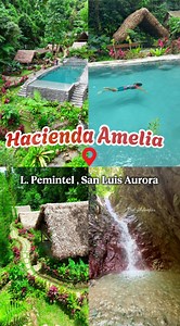 32K views · 203 reactions | Nature Resort na Sobrang Relaxing at Perfect mag Unwind  Stress ka? Mag relax ka muna sa ganito kagandang lugar☺️ HACIENDA AMELIA Brgy L.Pimentel , San Luis ,Aurora Province, Aurora ✅ ENTRANCE DAYTOUR ✅₱350 ADULT ✅₱100 KIDS ✅KUBO RENT ✅₱2,100 KUBO TENT 4pax ✅₱4,200 BAHAY KUBO 6pax ✅OVERNIGHT STAY ✅PETS ALLOWED FOR DAYTOUR ONLY #viralpost2025シ #nature #aurora #swimming #resort #pool #relaxing | ROD ADventure | Facebook