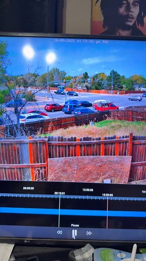 75K views · 488 reactions | Caught this on my security camera | Daniel Cassista | Facebook