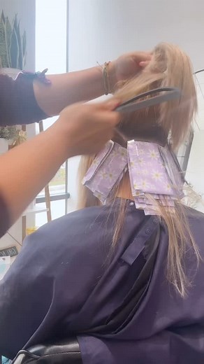 Elder millennial hairstylist hack 👀 #orlandoblondespecialist #orlandosalon #oviedosalon #orlandoblonde #redkencolor #framarfam | Dena Minarczyk
