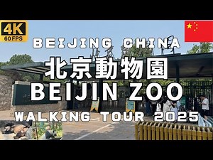 [4K] Beijing Zoo 北京動物園 Beijin China Walking Tour 2025