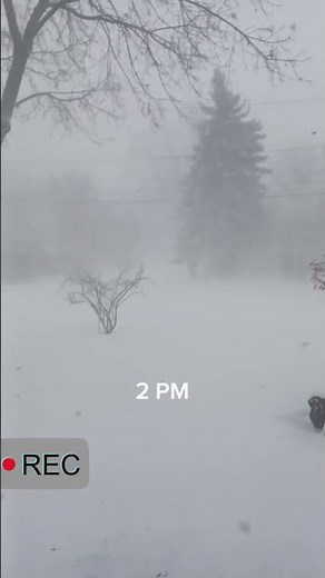 Snow Winetr Storm 2023 Blizzard Time-lapse #shorts #timelapse #snowstorm