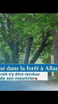 Charred body found in the forest in Allauch: the victim may have gone there accompanied by...
