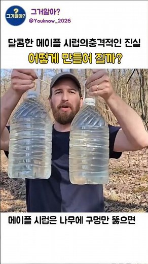 Sweet Maple Syrup, The Making Process