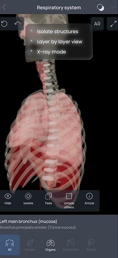 Explore Human Anatomy in 3D | Interactive Anatomy App for Students & Doctors