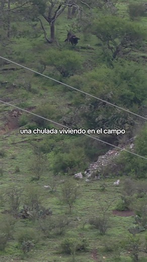 Una chulada viviendo en el campo: belleza natural de Hidalgo, México