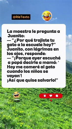 🐱🏫 El gato salvado #chistes #bromas #risa #divertido #humor #españa #shorts #youtube