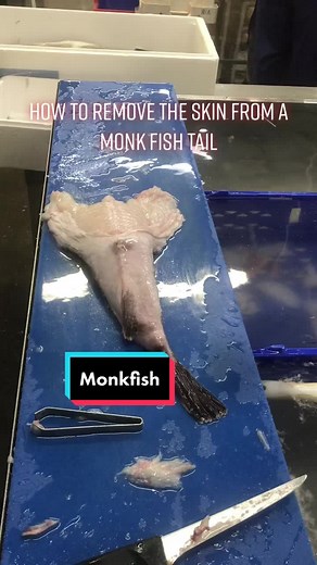 How to Remove Skin from a Monkfish Tail