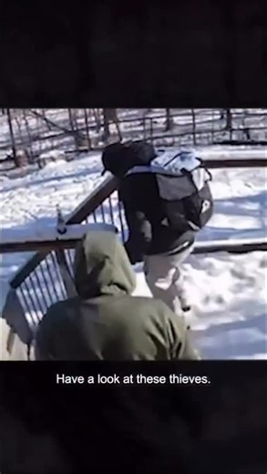 NotOnJoesWatch on Instagram: "Happening all over Canada. Secure your Homes! Repost @haltonpolice This is happening fast. We’re seeing a spike in break-ins targeting homes near greenspaces and trail systems across Halton. Suspects use these areas to get in and out quickly. Police are actively working these cases and increasing patrols — and your tips matter. If something doesn’t look right, call us. #haltonpolice"