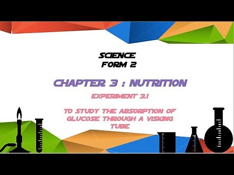 To study the absorption of glucose through a Visking tube.