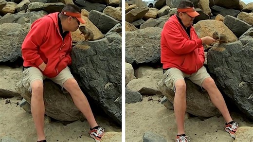 Küsse für Nüsse! Eichhörnchen knutschen für Leckerbissen am Strand