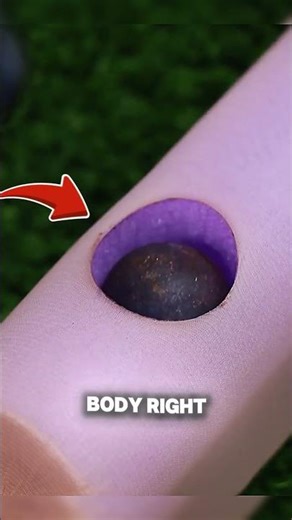 random fact time let's gooo!!!